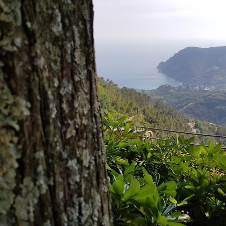 Santuario Ns Soviore Cinque Terre Bed & Breakfast มอนเตรอสโซ อัล มาเร ภายนอก รูปภาพ